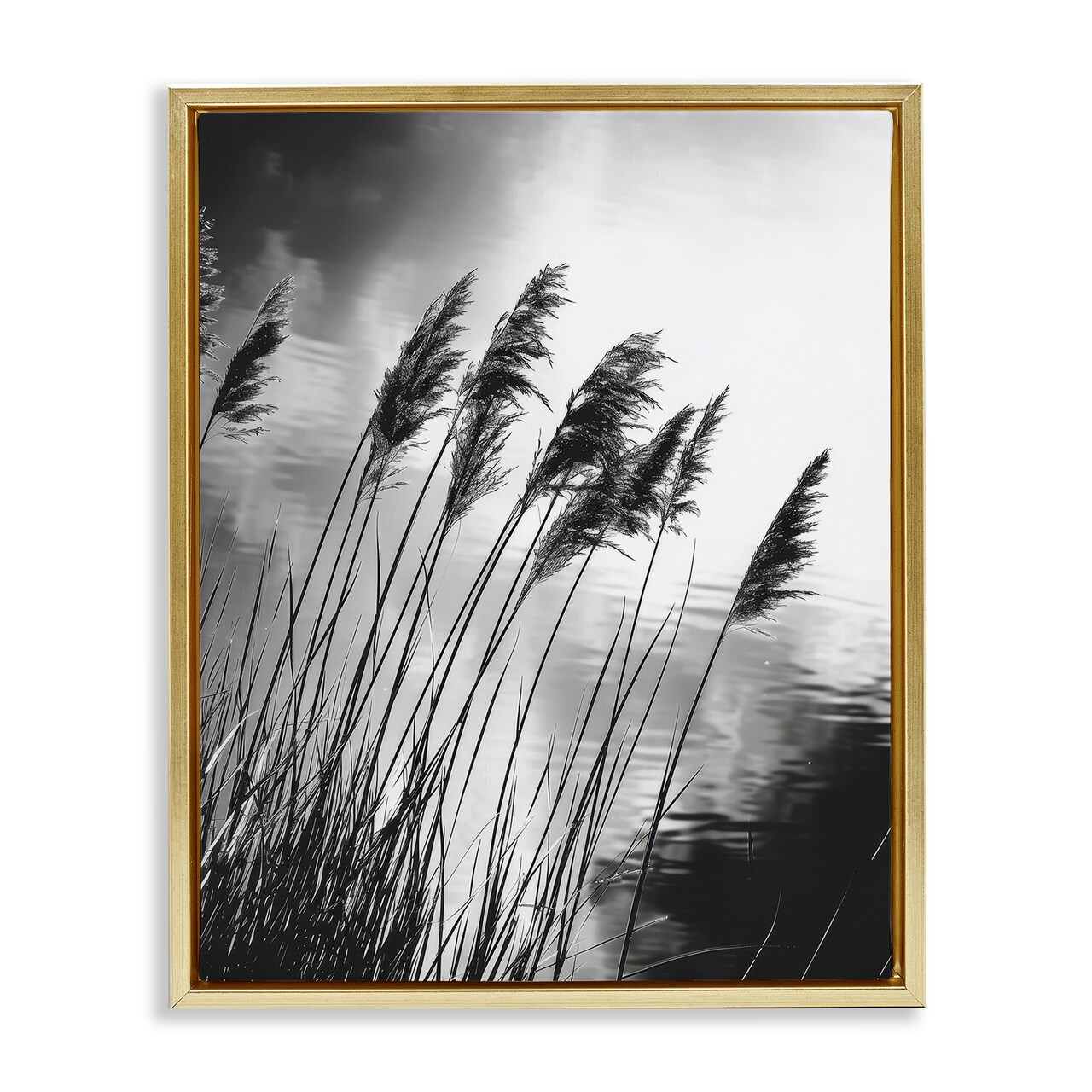 Stupell Industries Stark Contrast Wheat Floater Framed Canvas Wall Art Design by Petal Prints Design